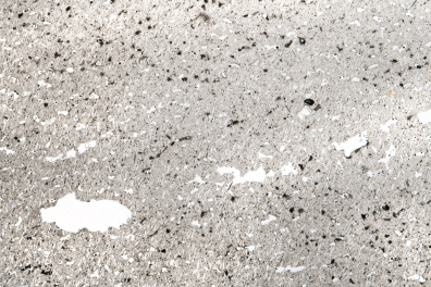 Andésite bulleuse LPNA x1,7